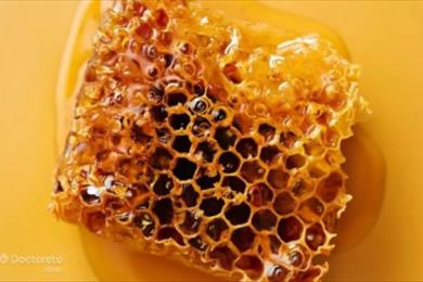 تولید هفت هزار تن عسل در کرمانشاه با ۳۸۵۲ زنبورستان